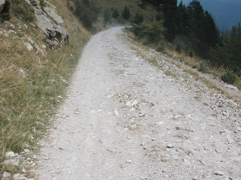 P7220029